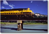 Rail Excursion - Prince William Sound Glacier Cruise