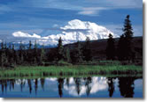 Denali Sampler - Anchorage to Fairbanks
